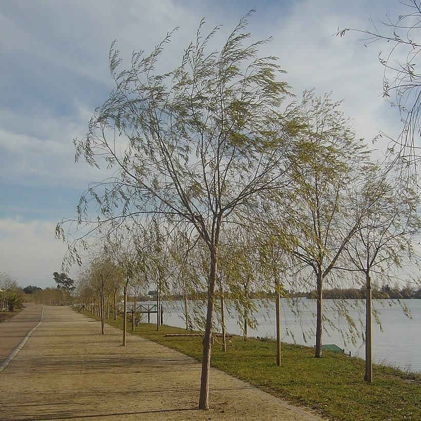Des kilomètres de voies vertes dans le Delta de l'Ebre, à pied ou en vélo, locations.groomservicedelta.com